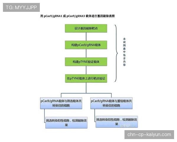球员康复期临床试验参与者权益保护与回报机制